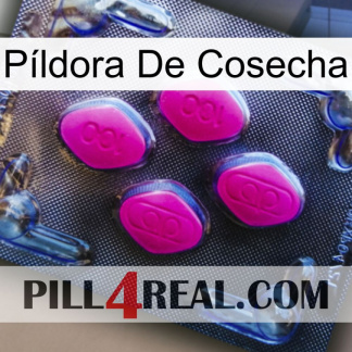 Píldora De Cosecha 02